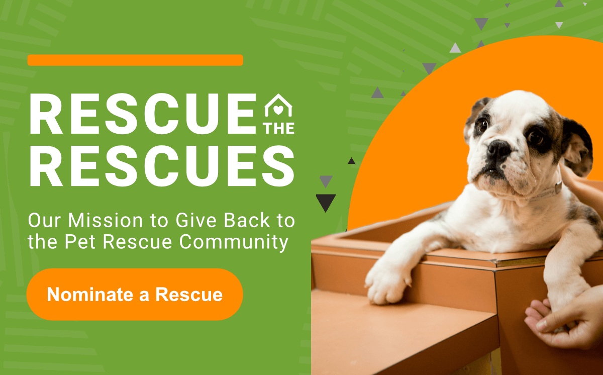 Rescue The Resuces